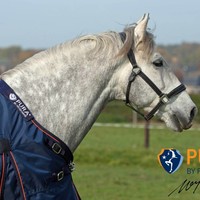 Fryskware PURA Turnout