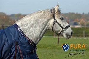 Fryskware PURA Turnout