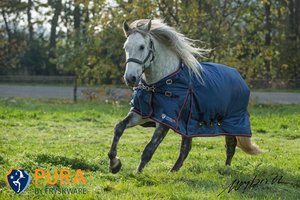 Fryskware PURA Turnout
