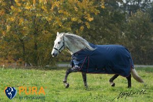 Fryskware PURA Turnout