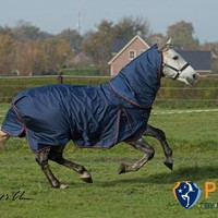 Fryskware PURA Turnout + neck (Combo)