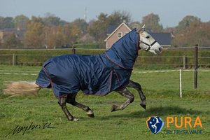 Fryskware PURA Turnout + neck (Combo)