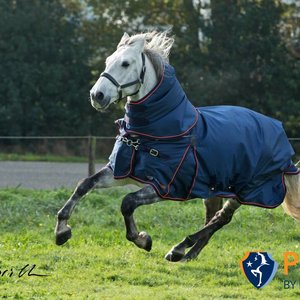 PURA Turnout + Halsteil (Combo)
