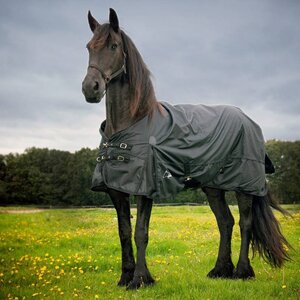 BIG-NECK |EXTREME Turnout 1680D Regendeken 0gram
