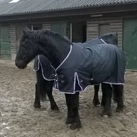 LuBa Paardendekens, Extreme® BIG-NECK |EXTREME Turnout 1680D Regendeken 0gram