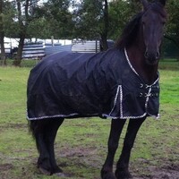 LuBa Paardendekens, Extreme® BIG-NECK |EXTREME Turnout 1680D Regendeken 0gram