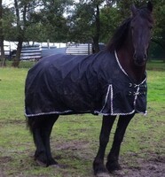 LuBa Paardendekens, Extreme® BIG-NECK |EXTREME Turnout 1680D Regendeken 0gram