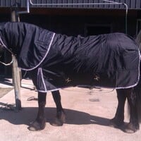 LuBa Horseblankets® BIG-NECK |EXTREME Turnout COMBO 1680D 150gr Winterdecke mit halsteil