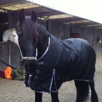 FryskWare BIG-NECK |EXTREME Turnout COMBO 1680D 150gr