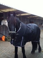 LuBa Horseblankets® BIG-NECK |EXTREME Turnout COMBO 1680D 150gr Winterdecke mit halsteil