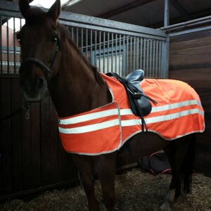 Veiligheids rijdeken reflecterend
