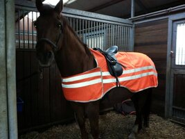 LuBa Horseblankets® SAFETY RIDING BLANKET