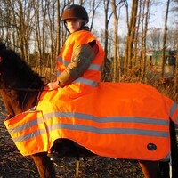 LuBa Horseblankets® SAFETY RIDING BLANKET