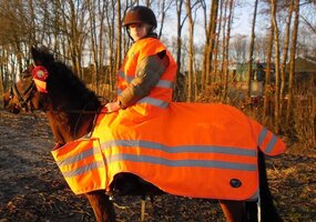 LuBa Horseblankets® SAFETY RIDING BLANKET