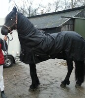 LuBa Horseblankets® BIG-NECK |EXTREME Turnout COMBO 1680D 300gr Winterdeken met hals