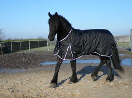 LuBa Horseblankets® BIG-NECK |EXTREME 1680D 300gr Winterdeken 300gr/150gr