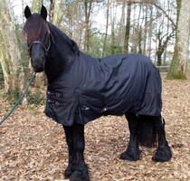 LuBa Horseblankets® BIG-NECK |EXTREME 1680D 300gr Winterdeken 300gr/150gr