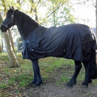 FryskWare BIG-NECK |EXTREME 1680D 300gr Winterdeken 300gr/150gr