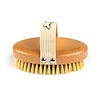 Eve Taylor Dry Brush