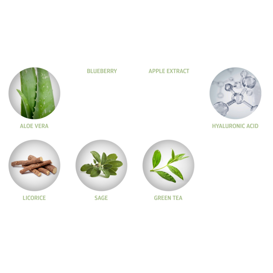 Detox Energizing Facial Mist Toner-3