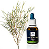 RIES Herbal Tea RIES Herbal Skin
