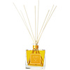 Acqua Alpes Amber Home Fragrance Diffuser