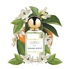 CHABAUD Maison de Parfum Chabaud Orangerie Musicale, Eau de Parfum, 100ml de luxe