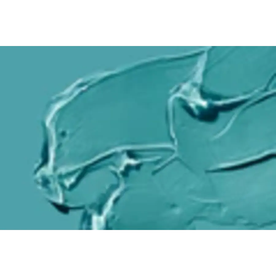 Netra Hamsa Hydra Lift Eye Mask - LakShmi-2