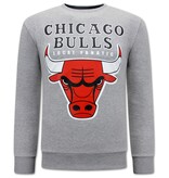 Local Fanatic Jersey Chicago Bulls Hombre - Gris