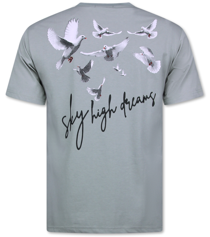 Top Star Camiseta Oversize Hombre - Camiseta Estampada Hombre - Camisa Divertida - 698 - Gris