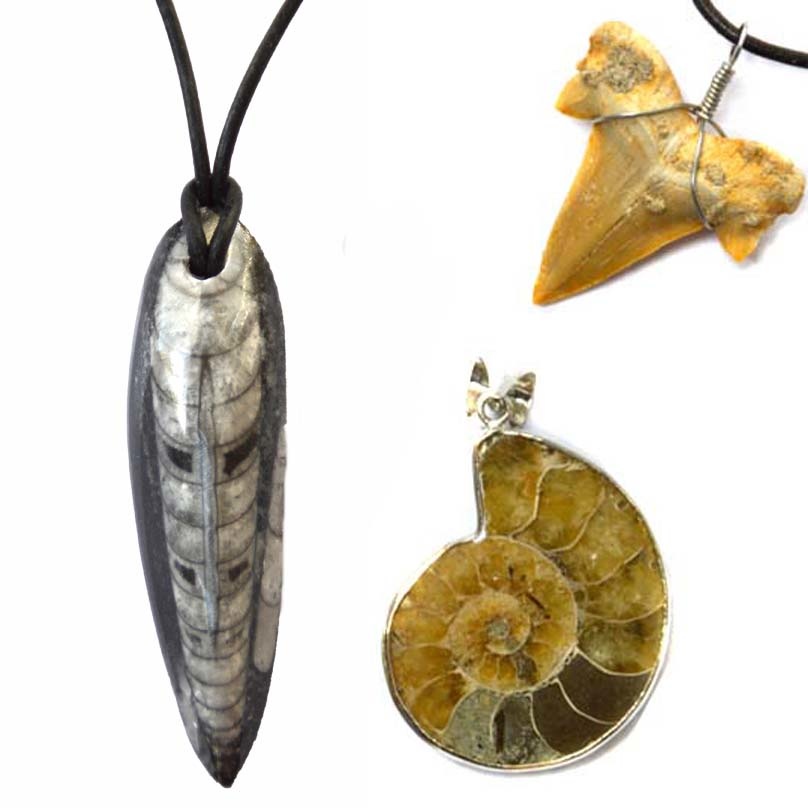 Fossilien Schmuck – Männerschmuck?