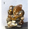 Ammoniten Skulptur Ammoniten Stufe