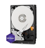 Western Digital Western Digital Purple 3.5" 1000 GB SATA III