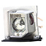 Acer TEKLAMPS EC.K0700.001 Compatible lamp for ACER projectors projectielamp