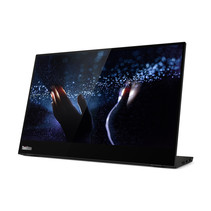 Lenovo ThinkVision M14t 35,6 cm (14") 1920 x 1080 Pixels Full HD LED Zwart