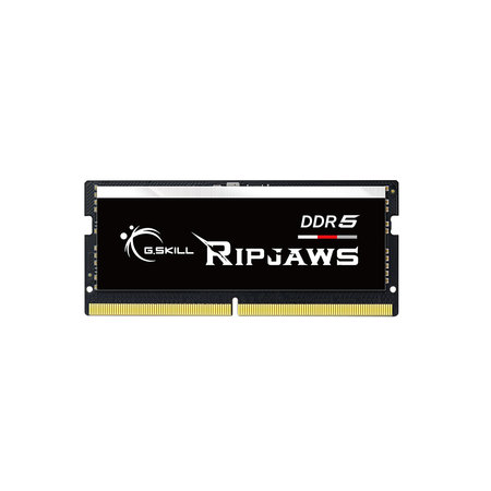 G.Skill G.Skill Ripjaws F5-4800S3838A16GX1-RS geheugenmodule 16 GB 1 x 16 GB DDR5 4800 MHz