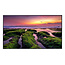 Samsung Samsung QB65B Digitale signage flatscreen 165,1 cm (65") LED Wifi 350 cd/m² 4K Ultra HD Zwart Tizen
