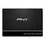 PNY Technologies PNY CS900 2.5" 250 GB SATA III 3D TLC