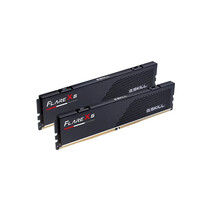 G.Skill Flare X5 F5-5200J4040A24GX2-FX5 geheugenmodule 48 GB 2 x 24 GB DDR5 5200 MHz