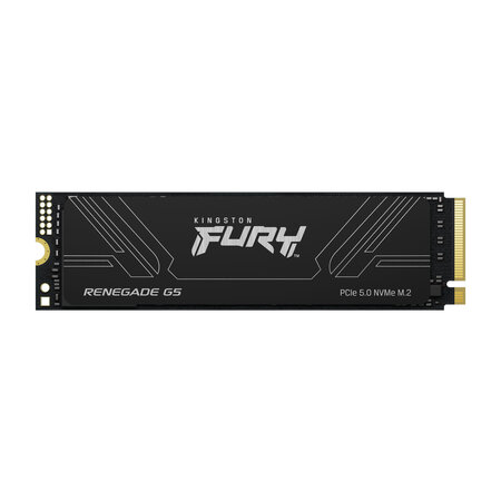 Kingston Kingston Technology 4T FURY RENEGADE G5 M.2 2280 NVMe SSD