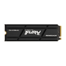Kingston Technology 2000G RENEGADE PCIe 4.0 NVMe SSD MET HEATSINK