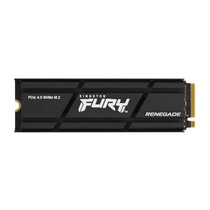 Kingston Technology 1000G RENEGADE PCIe 4.0 NVMe SSD MET HEATSINK