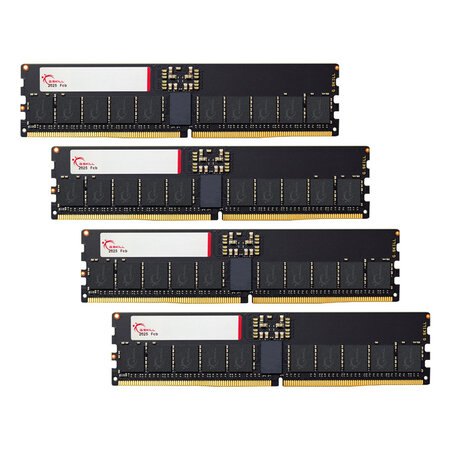 G.Skill G.Skill T5 Neo F5-6400R3644E64GQ4-T5N geheugenmodule 256 GB 4 x 64 GB DDR5 6400 MT/s ECC