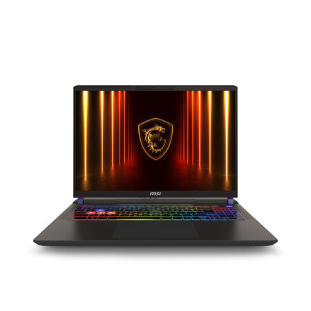 MSI MSI Vector A16 HX A8WIG-025NL AMD Ryzen™ 9 8940HX Laptop 40,6 cm (16") Quad HD+ 16 GB DDR5-SDRAM 1 TB SSD NVIDIA GeForce RTX 5080 Wi-Fi 6E (802.11ax) Windows 11 Home Grijs