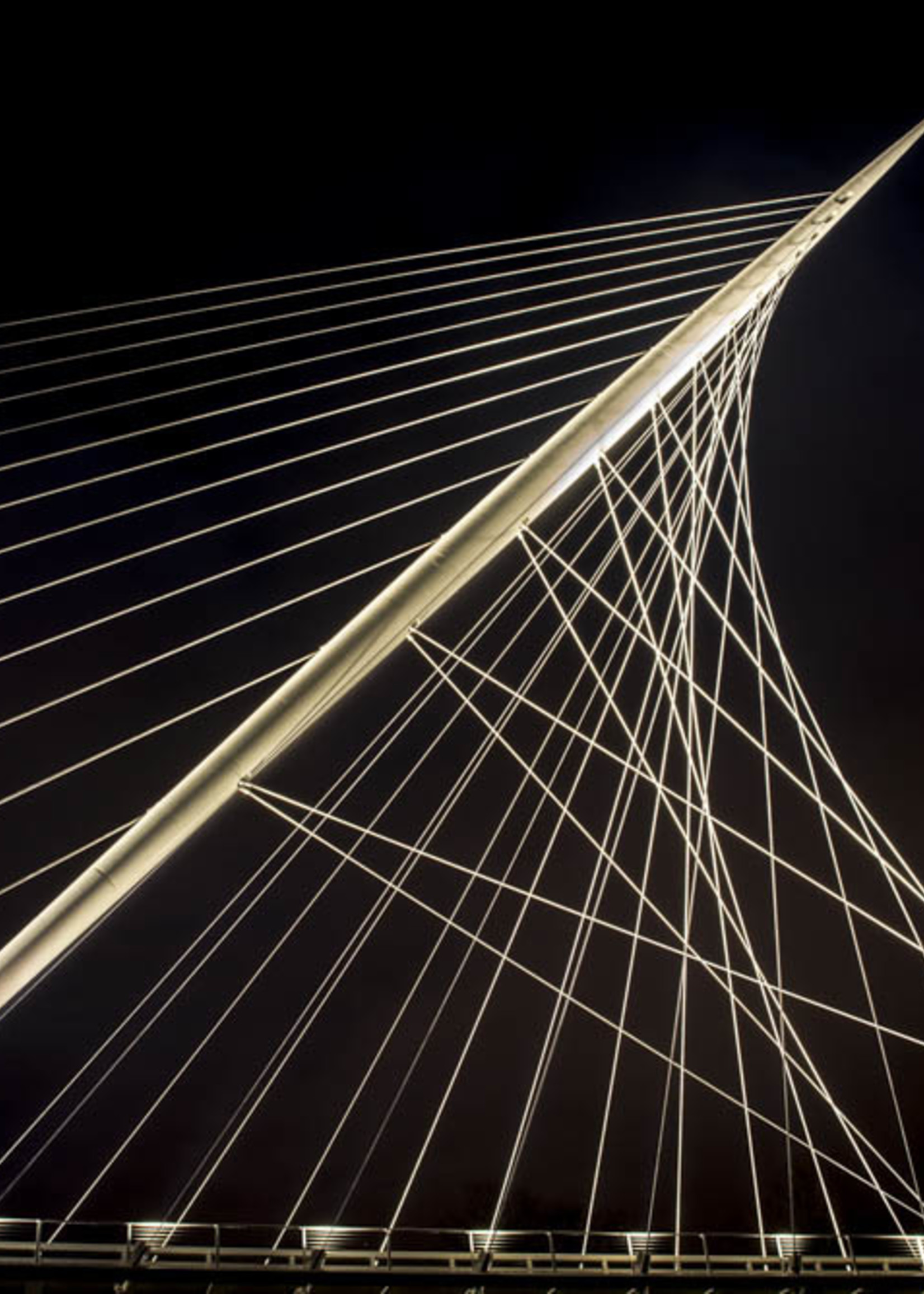 Frans van Steijn Wandfoto "Calatrava" Aluminium auf Dibond 120 cm