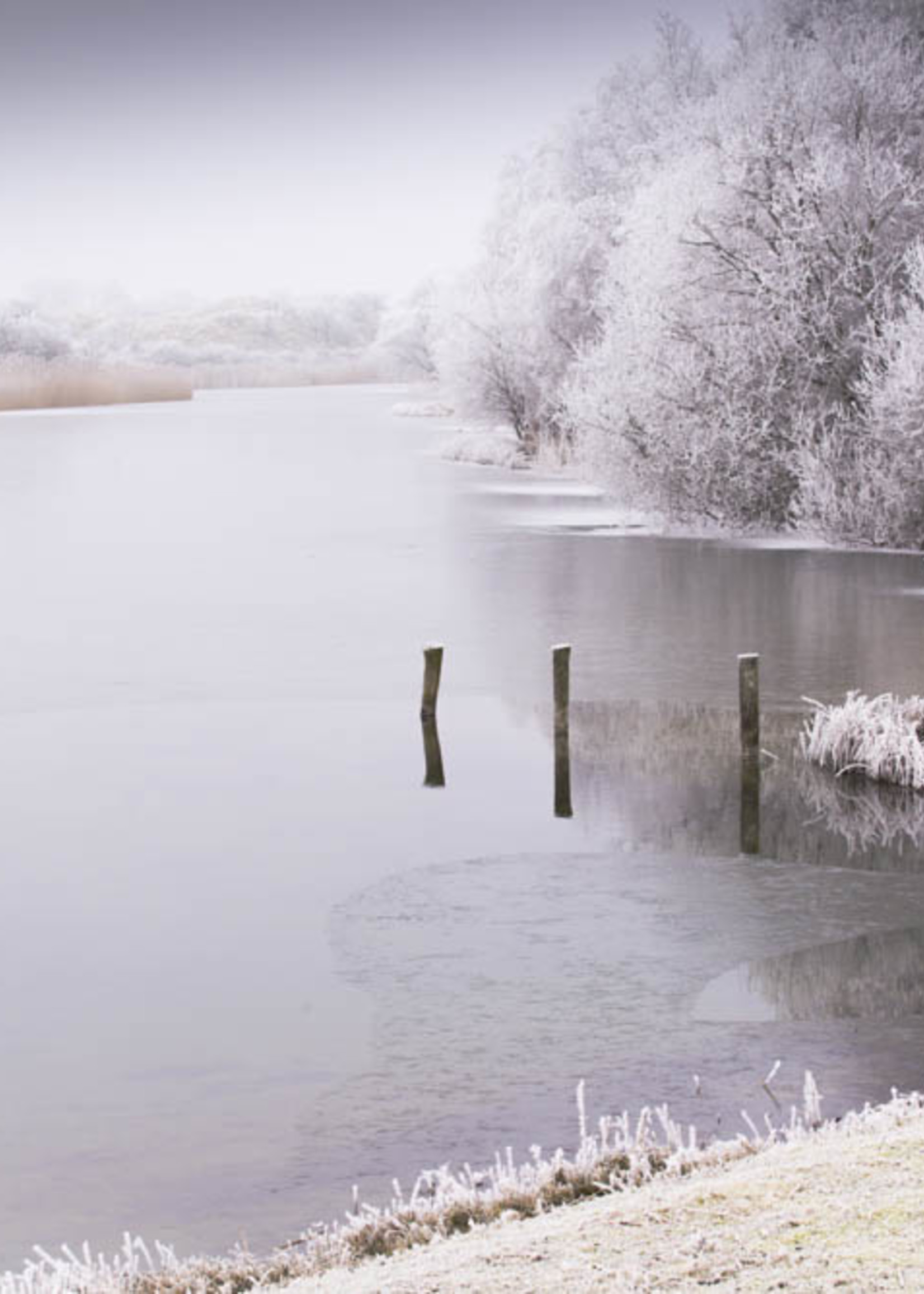 Frans van Steijn Wandfoto "Pastell" Aluminium auf Dibond 120 cm