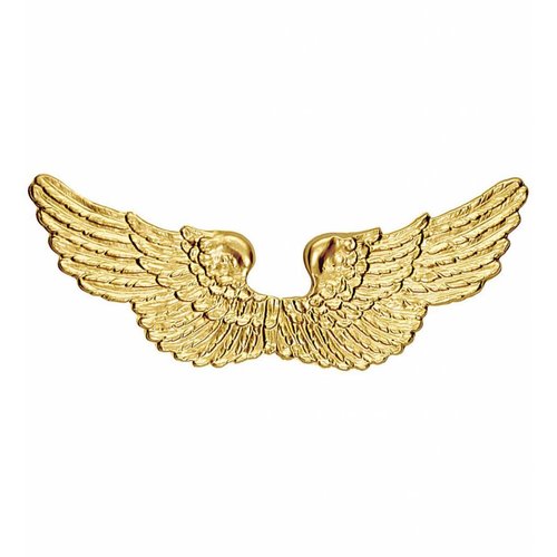Gouden Vleugel Engel