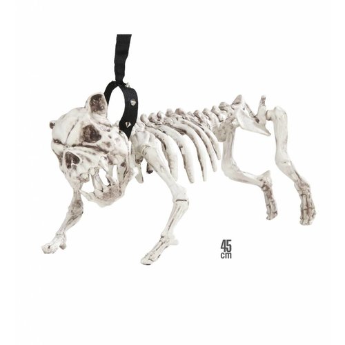 Skelet Hond Met Riem 45Cm