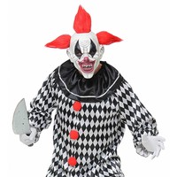 Widmann Horror Clown Masker Met Haar