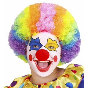 Pruik Clown Multikleuren